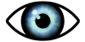eye