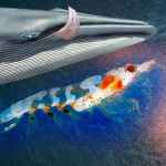 The freedom of the whale